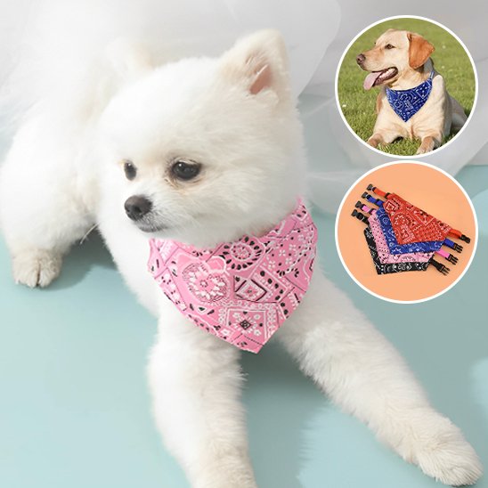 Collier pour chien | Foulard confort