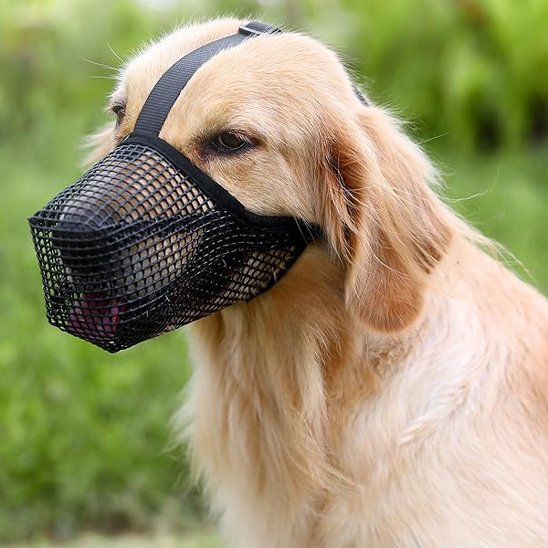 Muselière-chien-Confort-Secure