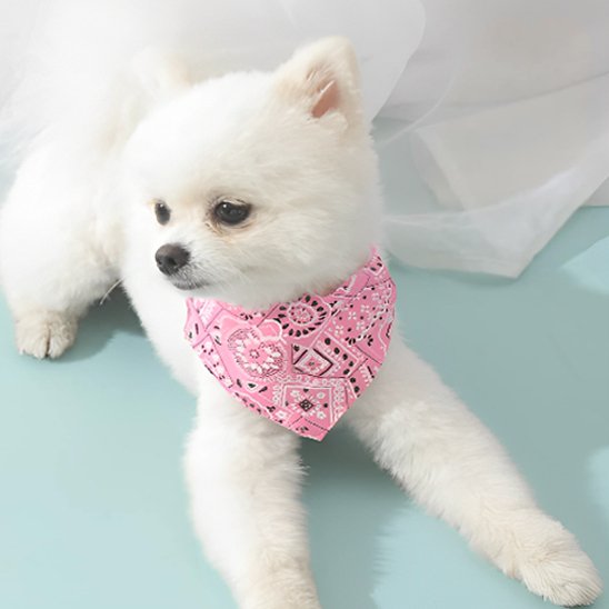 Collier pour chien | Foulard confort