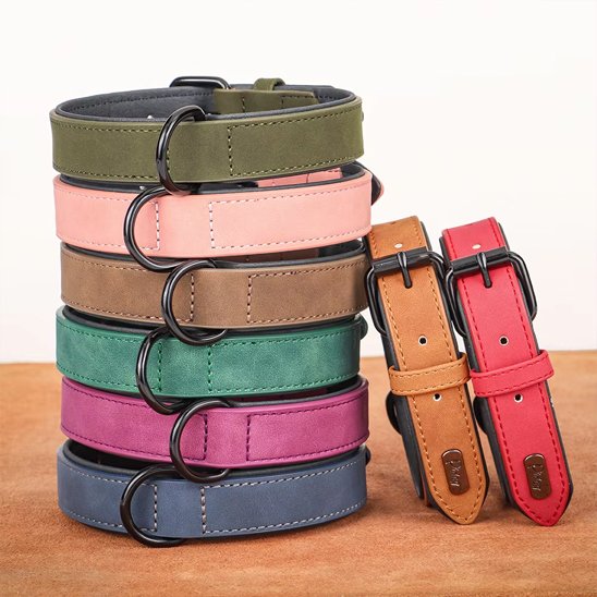 Collier-pour-chien-Premium-Secure