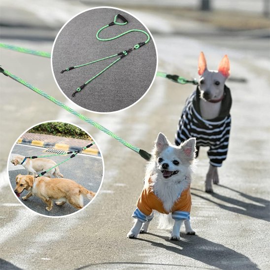 Laisse-double-pour-chien_PetControl-Y