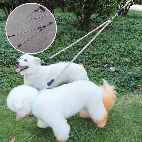 Laisse-double-pour-chien_PetControl-Y