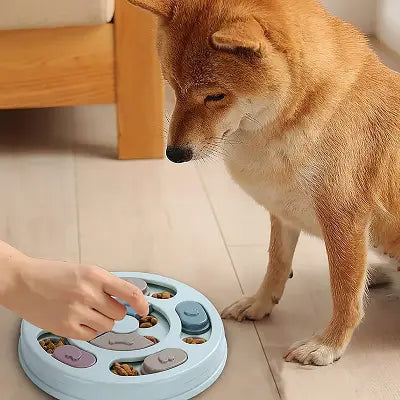 DogDistibNourritureIntéractif™
