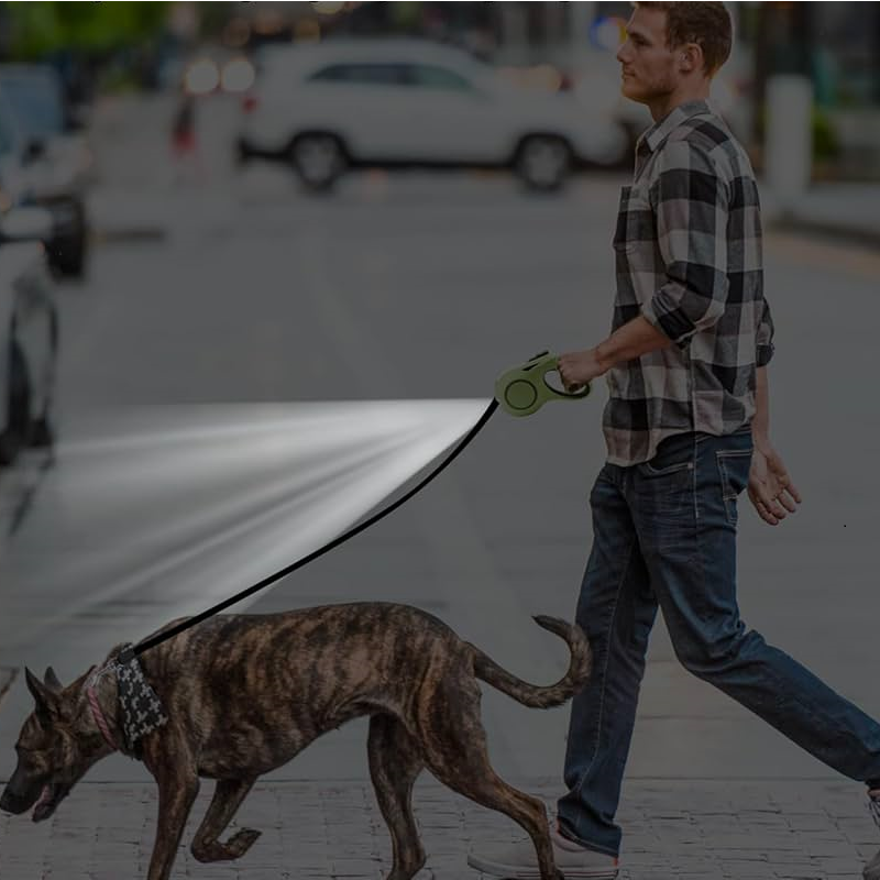 Laisse pour Chien enrouleur | Lumineuse LED