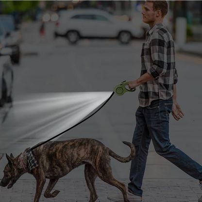 Laisse pour Chien enrouleur | Lumineuse LED