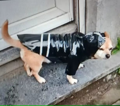 DoggyJack™ - Veste imperméable pour chien