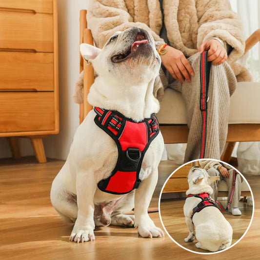 Harnais chien ajustable divers tailles bulldog harnais rouge