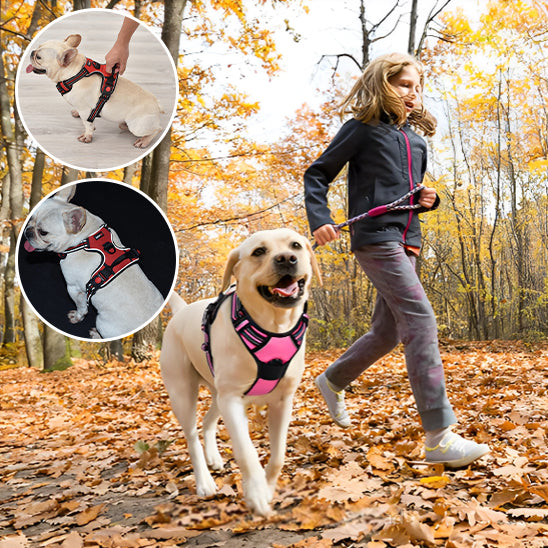 Harnais-chien-ajustable-divers-tailles-avec-fillette-jogging