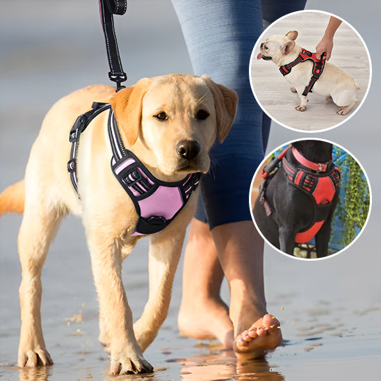 Harnais chien ajustable divers tailles Labrador harnais rose