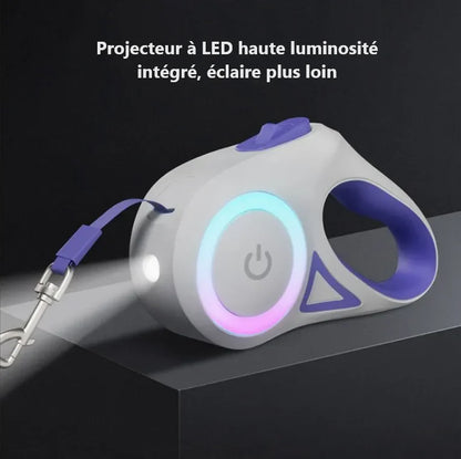 Laisse pour Chien enrouleur | Lumineuse LED