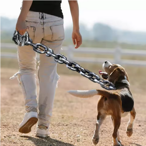 Laisse-pour-chien-DogSecure-argent