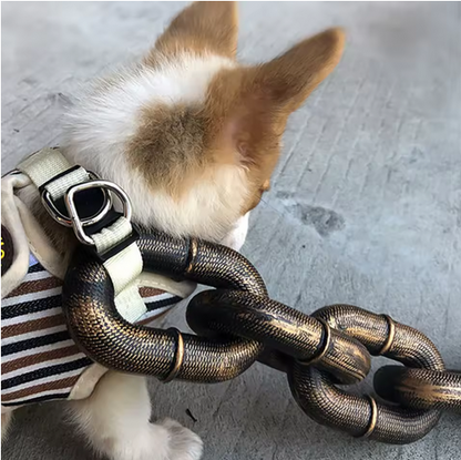 Laisse-pour-chien-DogSecure-bronze