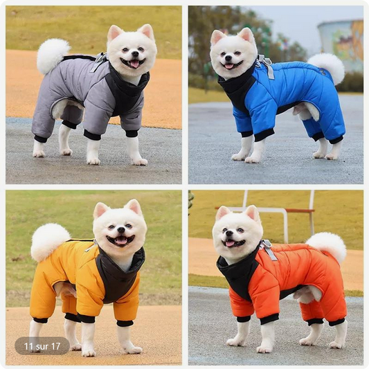 Manteau-pour-chien | Hivernale-multi