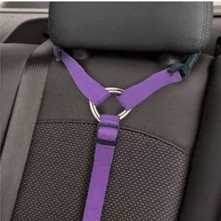 Ceinture de sécurité pour chien - Ajustable