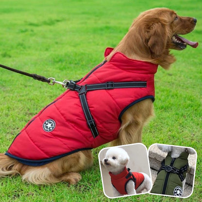 Harnais chien | Manteau