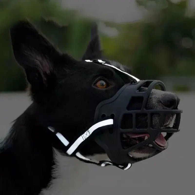 Anti - BarkDog™ - Chienspassionnes