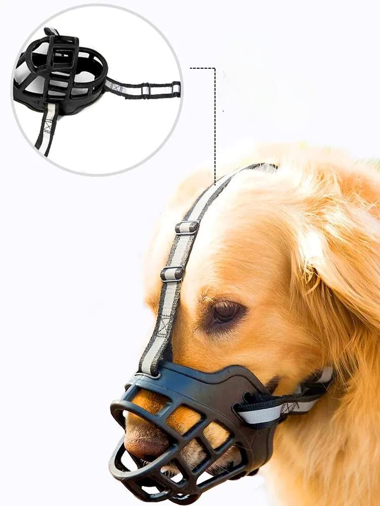 Anti - BarkDog™ - Chienspassionnes