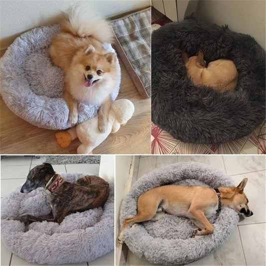 DoggyPouf™ - Coussin doux pour chien - Chienspassionnes