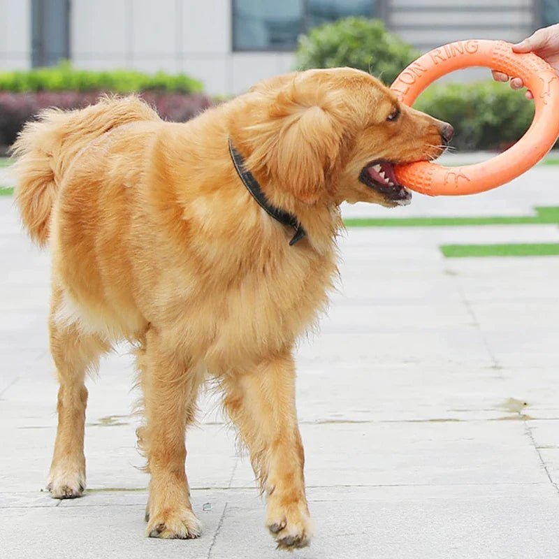 DogTrainingRing™ - Chienspassionnes