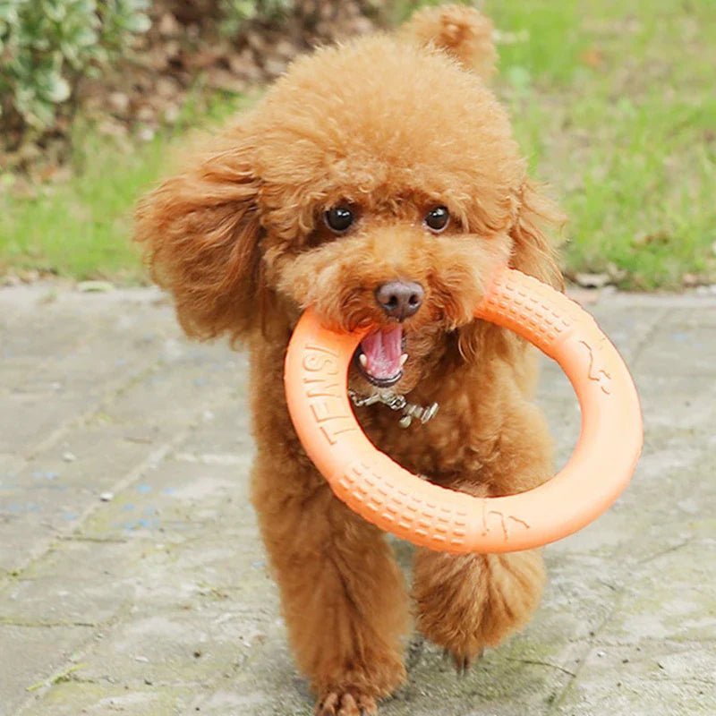 DogTrainingRing™ - Chienspassionnes