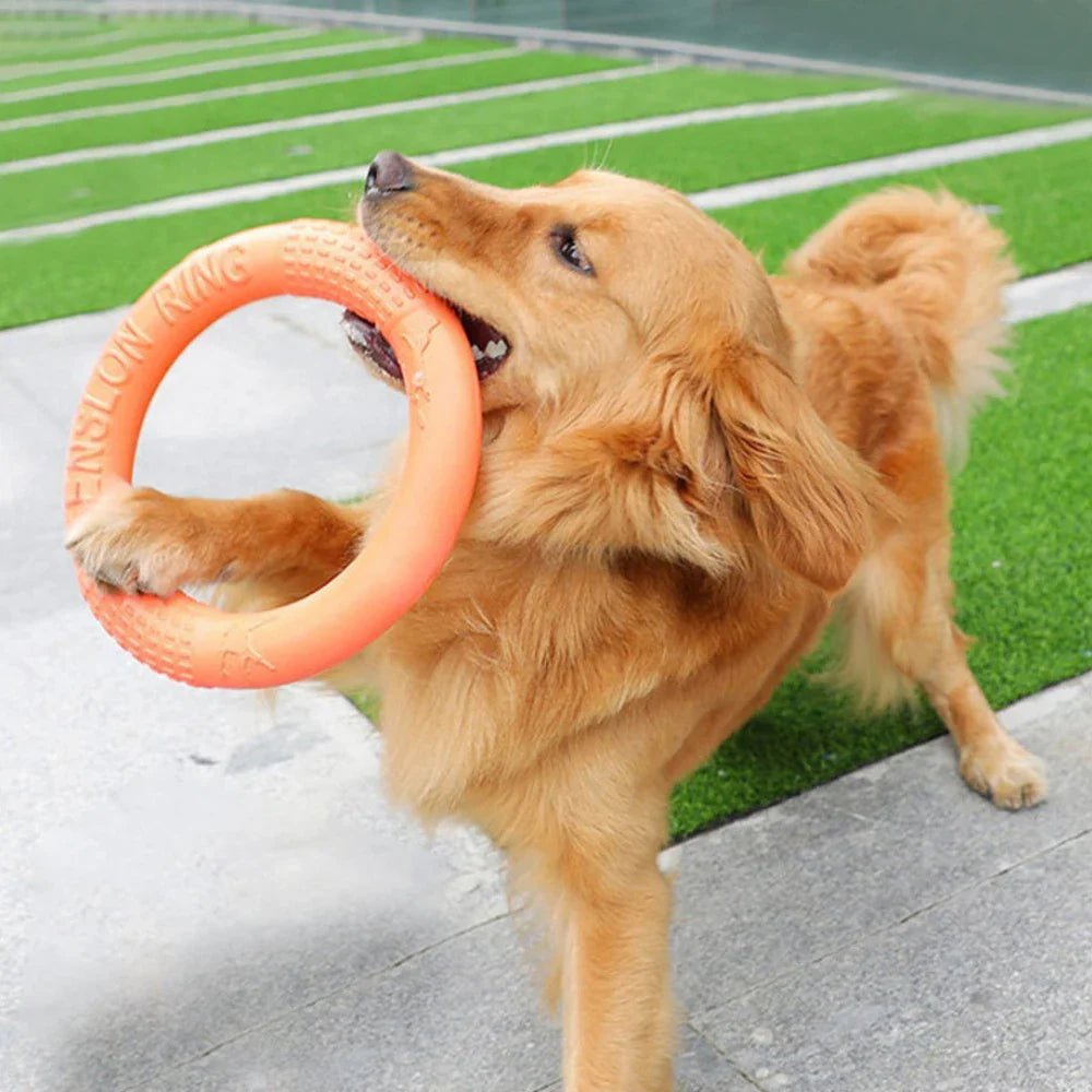 DogTrainingRing™ - Chienspassionnes