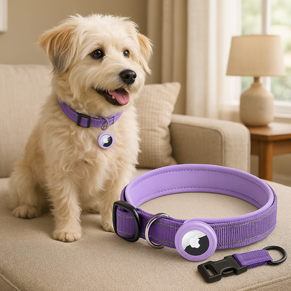 Collier-gps-chien-violet