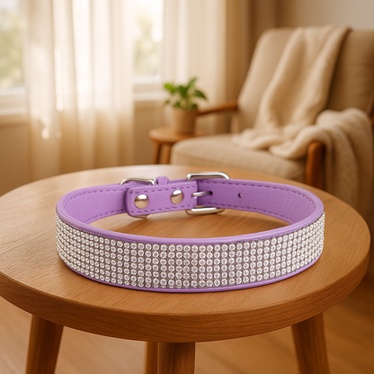 Collier en cuir pour chien | Durable & Confort