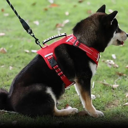 harnais-anti-traction-chien-rouge