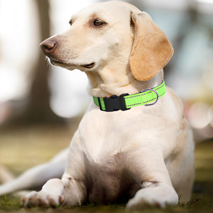 Collier chien | Nylon