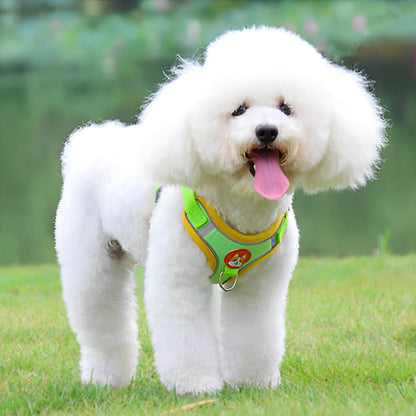 Harnais-pour-chien-ensemble-laisse-vert-fluo