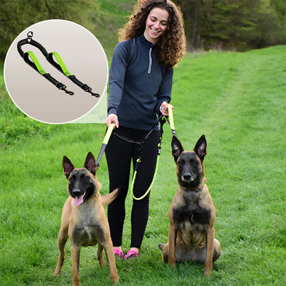 Laisse-double-pour-chien-vert