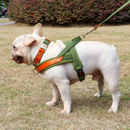 Harnais-chien-anti-traction-vert-latéral