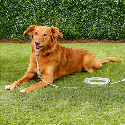Laisse-pour-chien-SecurePet-30m