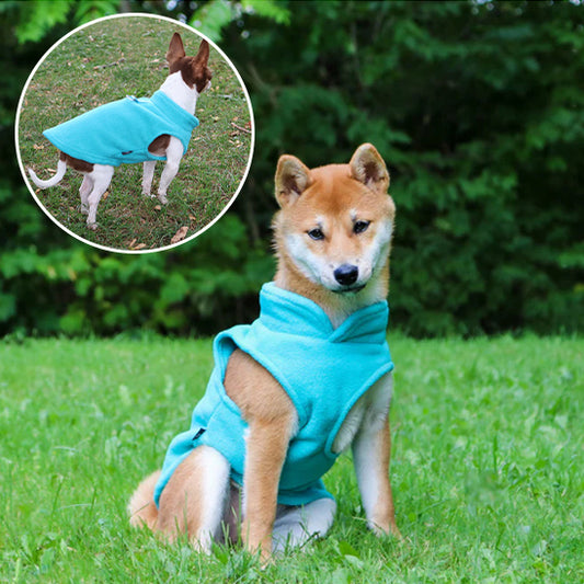 Manteau-chien-polar-bleu