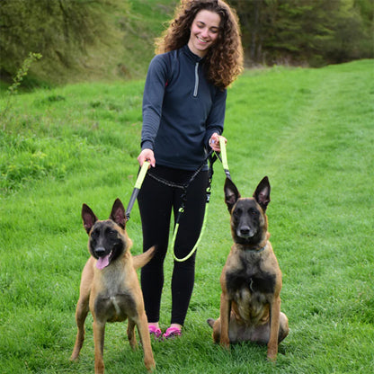 Laisse double pour chien
