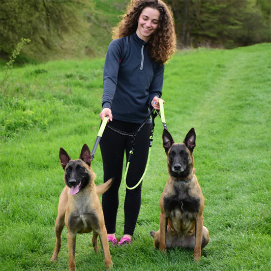 Laisse double pour chien
