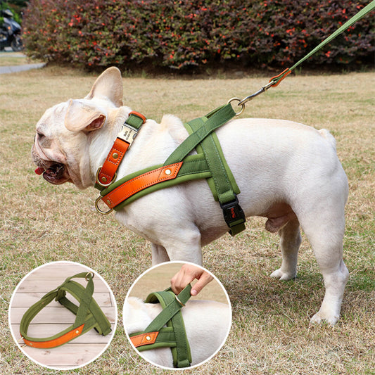 Harnais-chien-anti-traction-vert