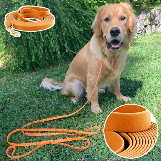 Longe-pour-chien-Robuste-&-Ajustable