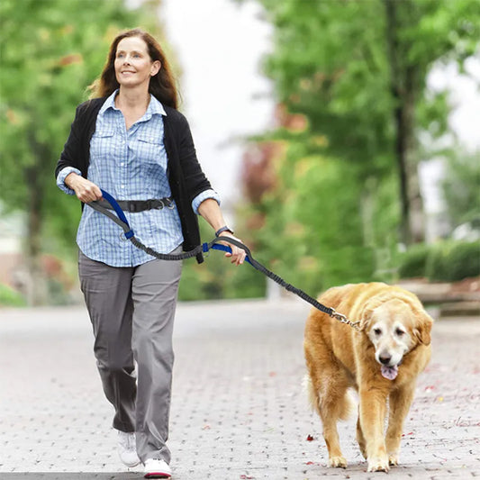 Laisse-pour-chien-Canicross-Bleu-aqua