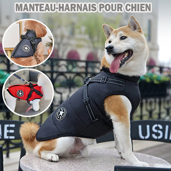 Harnais chien | Manteau