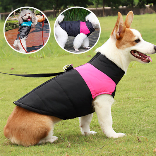 Manteau pour chien-veste rembourrée-démo