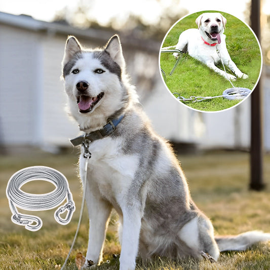Laisse-pour-chien-SecurePet-30m