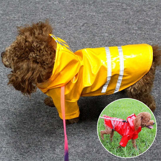 DoggyJack™ - Vest imperméable pour chien - Chienspassionnes