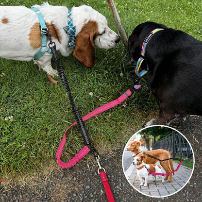 Laisse-double-pour-chien_Anti-enchevêtrement