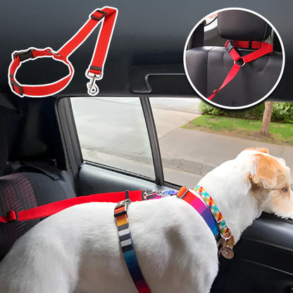 Laisse pour chien | Ceinture de sécurité ajustable