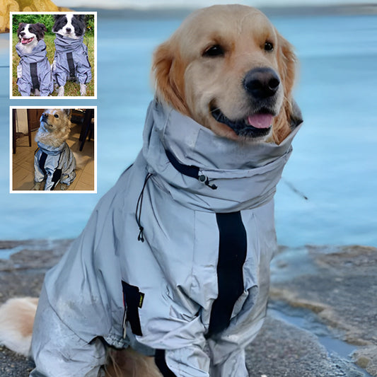 Manteau pour chien | Manteau imperméable- Golden et bulles