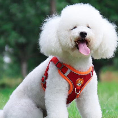 Harnais-pour-chien-ensemble-laisse-rouge