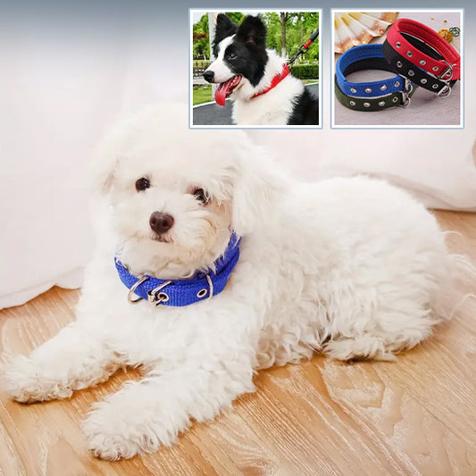 Collier-chien-nylon-simple-trou-modele