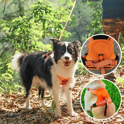 Harnais-chien-laisse-intégrée-orange