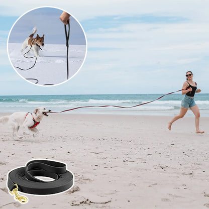 Longe-pour-chien-Robuste-&-Ajustable